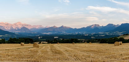 IMG 2289-Panorama
